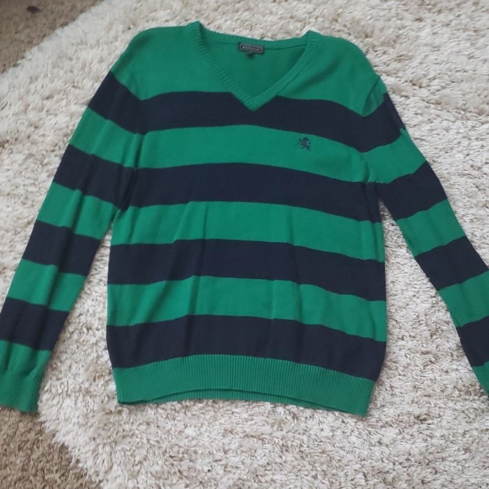 Express mens v neck sweater